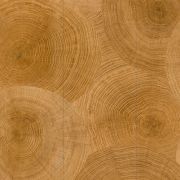 Плитка SPC TexFloor MEGAPOLIS 252 Дуб Салерно 600*900*4,5*0,3 КМ2 (4шт/2,16м2)