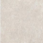 Керамогранит Геркуланум серый светлый 50,2*50,2 SG455600N