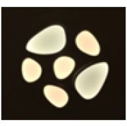 Люстра WL X8889-6