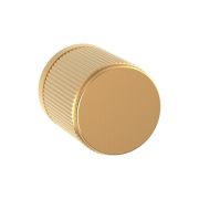 Ручка дверная PUNTO MOTIV круглая SSG-39 сатин золото