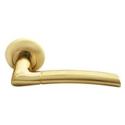 Ручка дверная Rucetti RAP 6 SG/GP