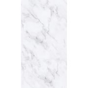 Панель цветная 0652/1 (250*2700*8мм (0,675м2))