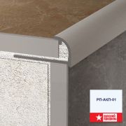 Профиль РП-АКП-01 анодированный серебро матовый 2,7м