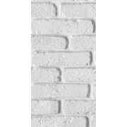 Панель цветная 0347 (250*2700*8мм (0,675м2))