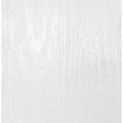 Панель ламинат 017-Л Ясень перламутровый (250*2700*10мм (0,675м2))