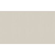 Обои Champagne бежевые фон 8723-01 1,06*10м